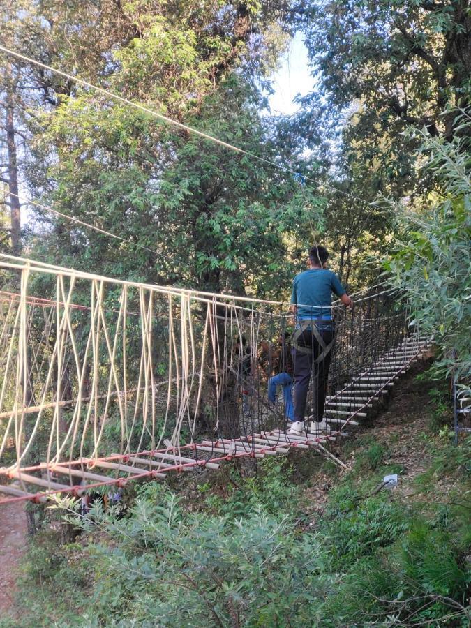 Little Heart Resort Chail Exterior photo