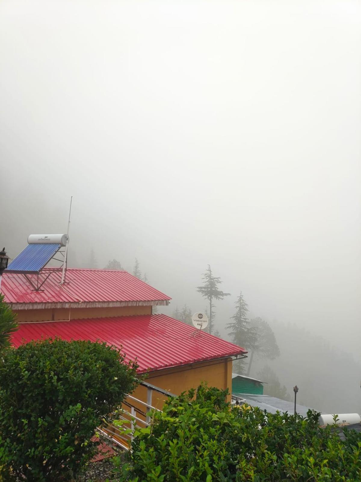 Little Heart Resort Chail Exterior photo