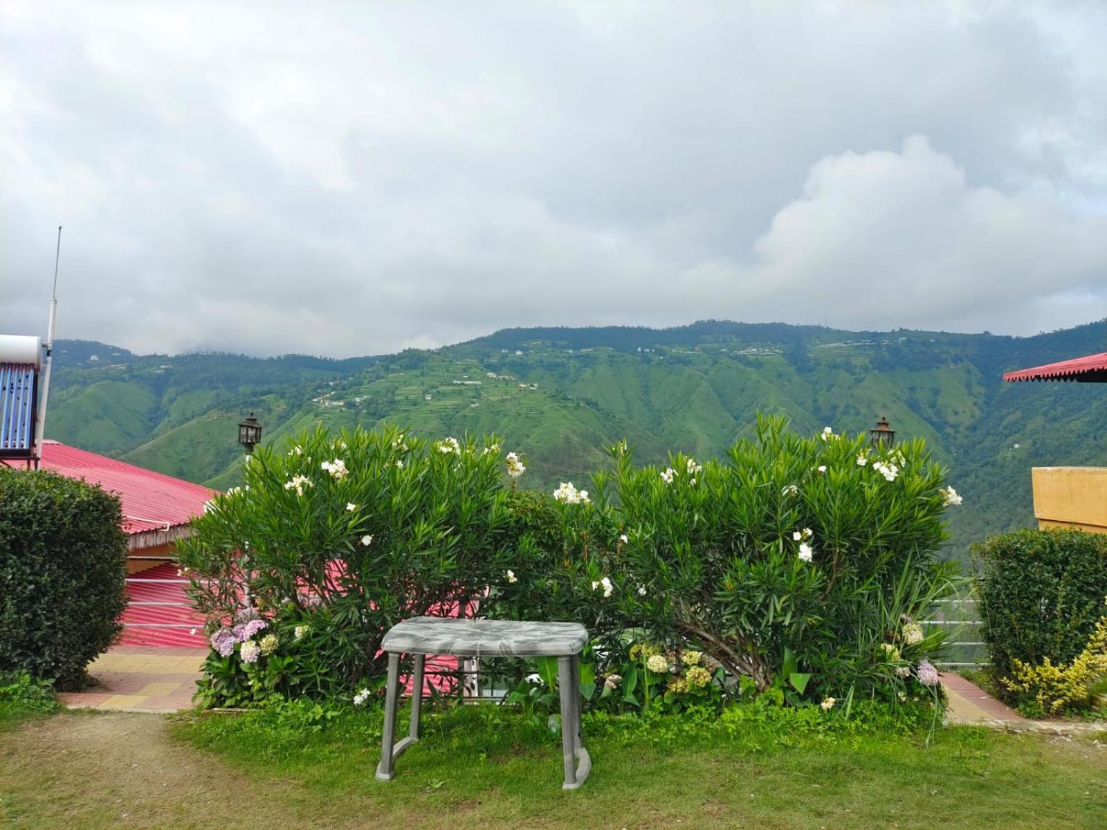 Little Heart Resort Chail Exterior photo