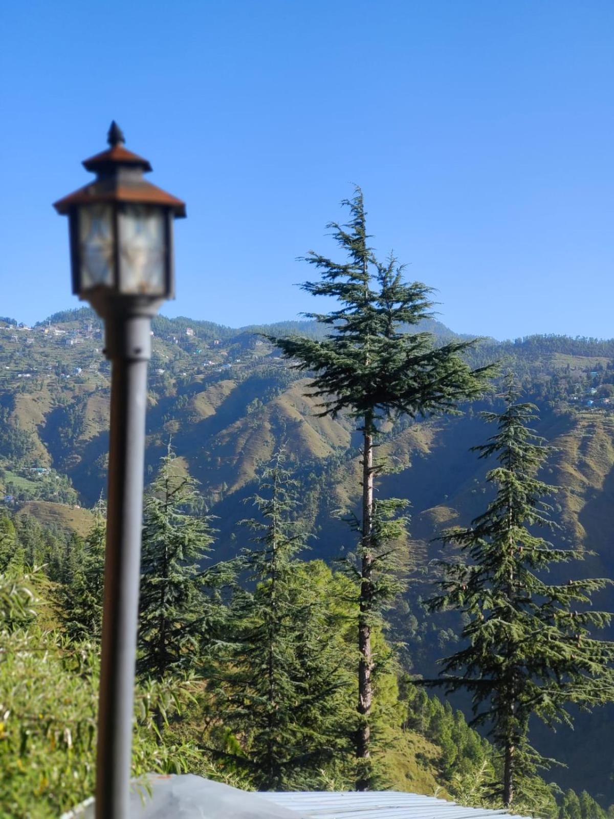 Little Heart Resort Chail Exterior photo