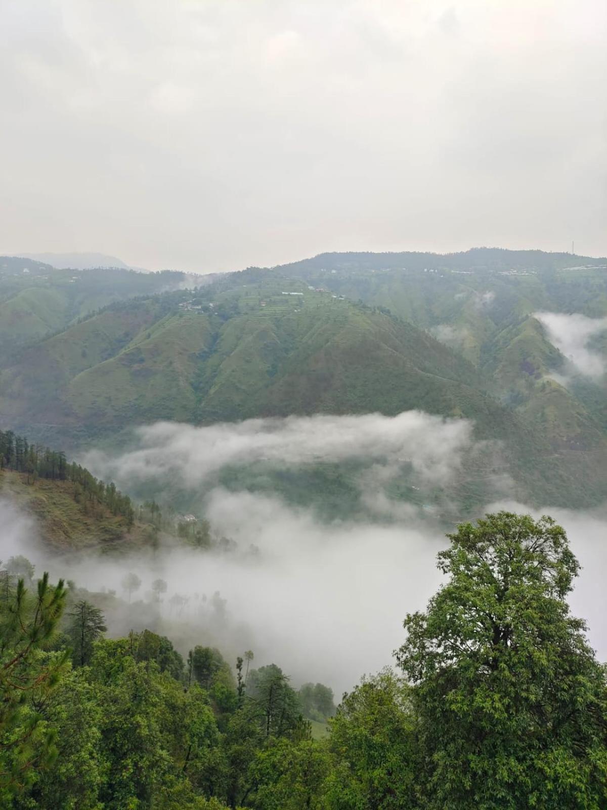Little Heart Resort Chail Exterior photo