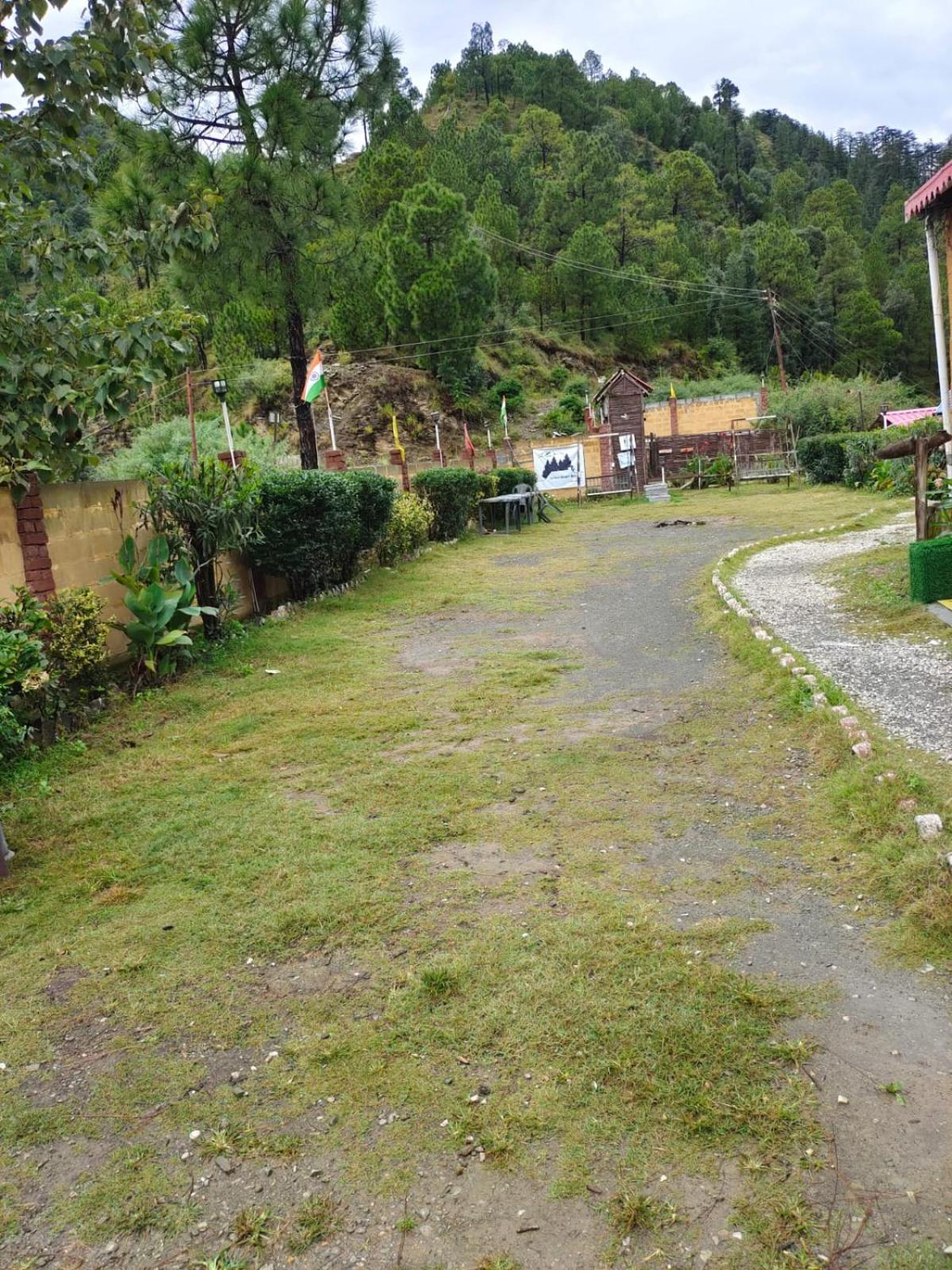 Little Heart Resort Chail Exterior photo