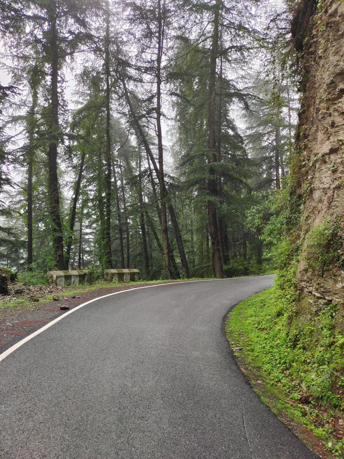 Little Heart Resort Chail Exterior photo